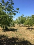 For sale agricultural area Baja, 14000m2