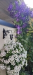 Siófok Einfamilienhaus 24
