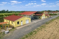 Balogunyom Mezőgazdasági terület 8
