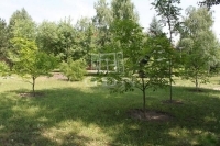 Gárdony Участок 1