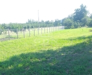 Pázmánd Building lot 0