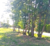 Pázmánd Building lot 1