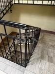 Budapest I. kerület Квартира (кирпичная) 5