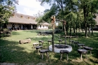 For sale farm Fülöpháza, 1270m2